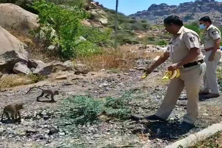 Koppal police distribute banana for monkeys