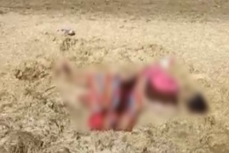 dead body of woman, जयपुर हत्या न्यूज