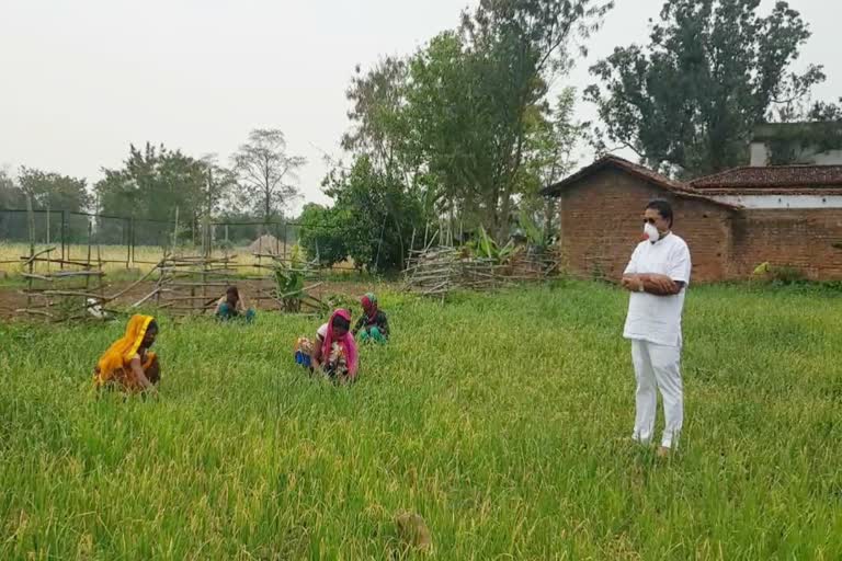 Permission to open seed shop and transport vehicles for farmers in Ambikapur