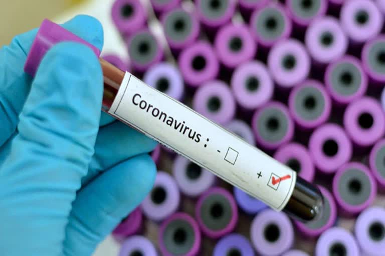 coronavirus updates