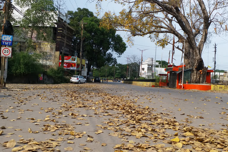 see the beginning of the autumn season at Rajiv Chowk in Raipur