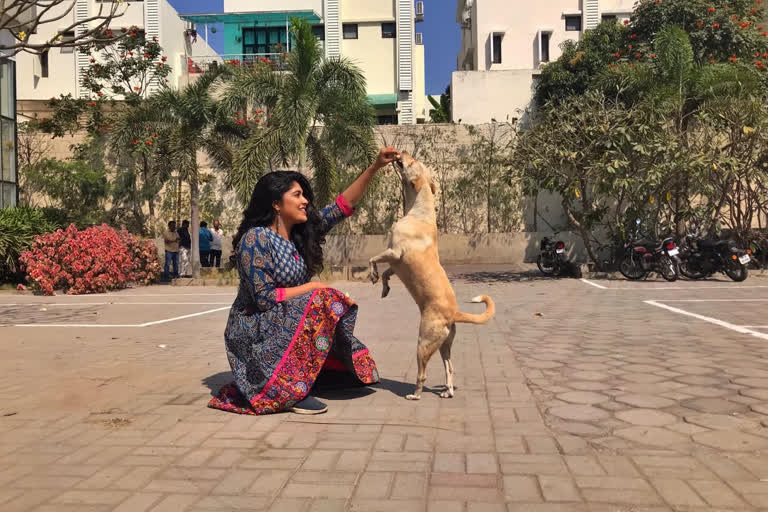 Actress Samyuktha Horanadu feeding street dogs