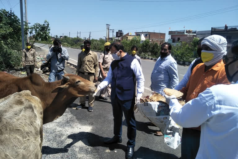 लॉकडाउन तक पशुओं को मिलेगा चारा-जेक्यू फोरगिनिग्स लिमिटेड.