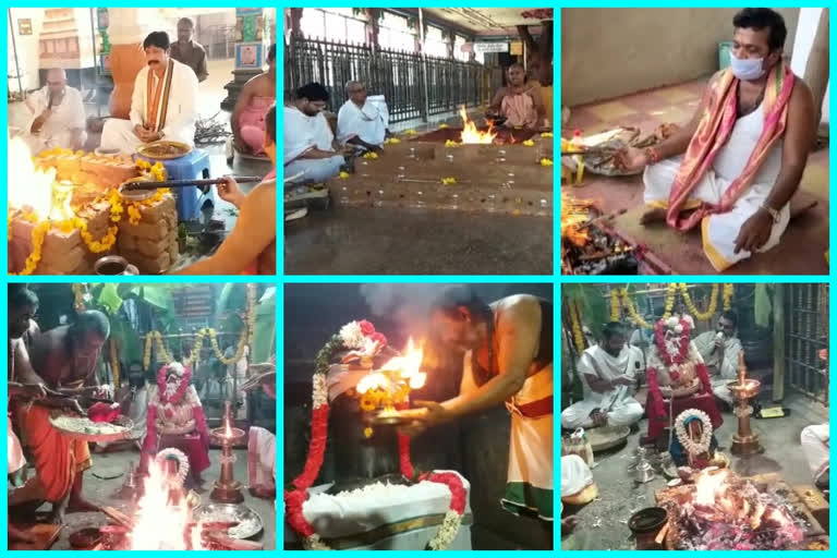 homam at krishna and chittor district temples for reducing corona