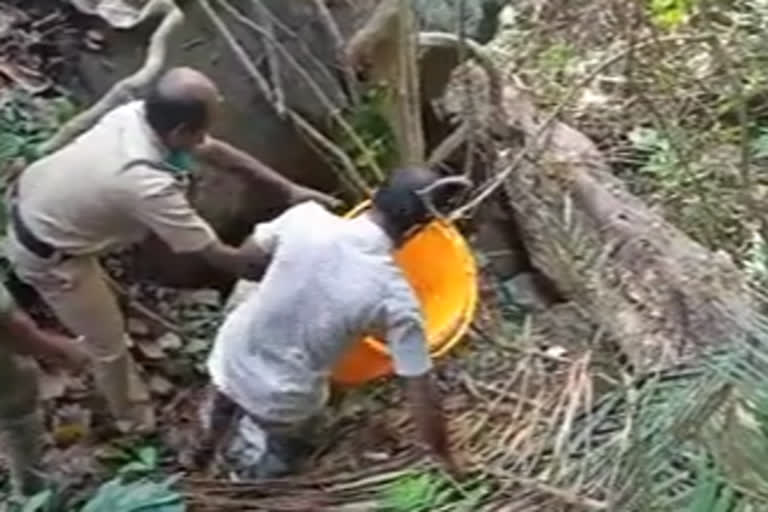 Excise raided liquor in Kollam forest areas  തെന്മല, കുളത്തുപ്പുഴ, പത്തനാപുരം  കൊല്ലം  വ്യാജ വാറ്റ് സജീവമാകുന്നു