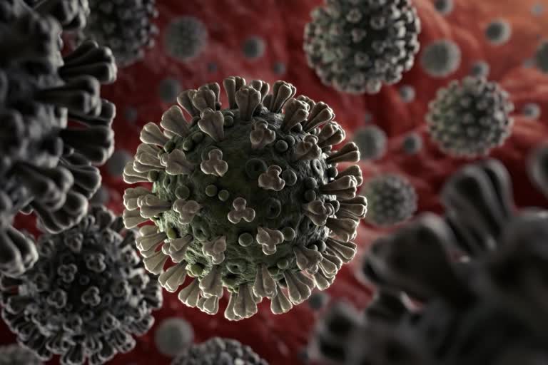 A 54-year-old resident of Kalimpong died due to Coronavirus