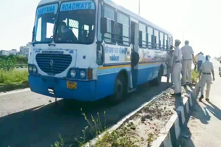 Haryana government transported migrants