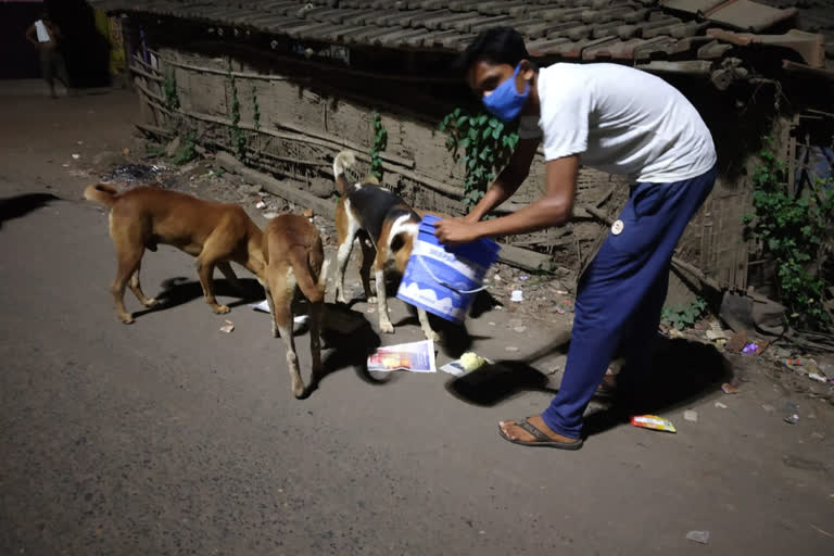 শতাধিক সারমেয়কে খাওয়াল কলেজ পড়ুয়ারা