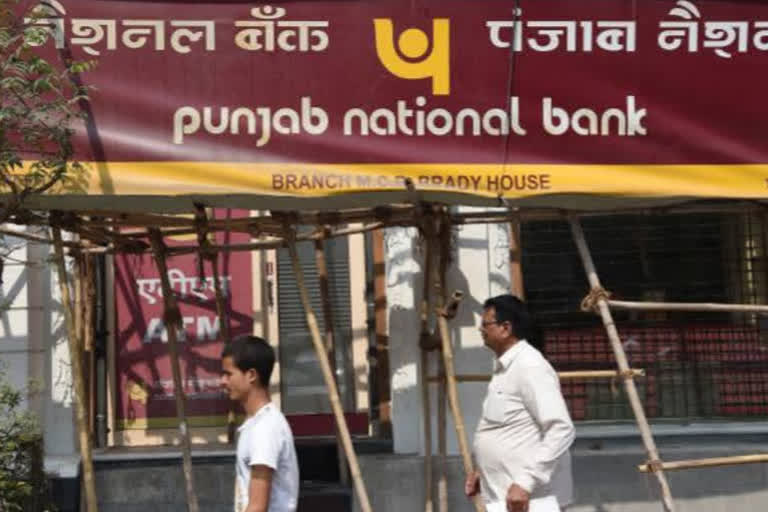 pnb unveils new logo