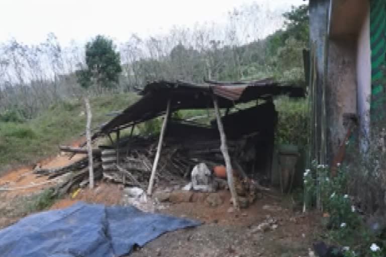 elephant attack at mangulam