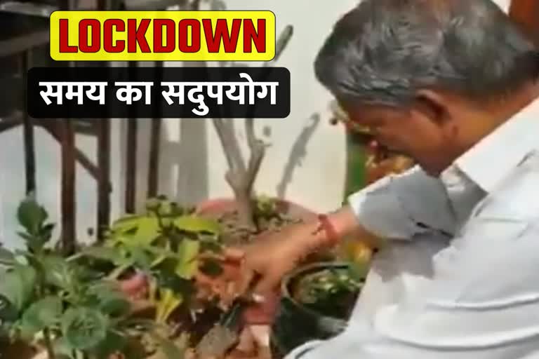 corona lockdown Harish Rawat tips