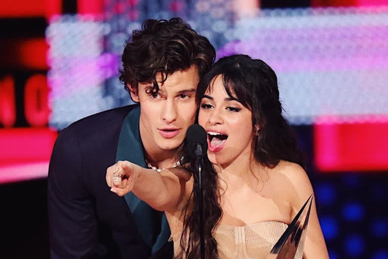 Coronavirus: Camila Cabello, Shawn Mendes honour heroes with special performance