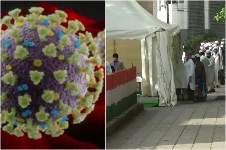 virus.. nizamuddin