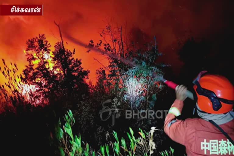 China state media reports 19 people killed in forest fire