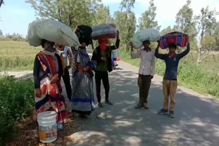 worker migrating from shelter home in gannor