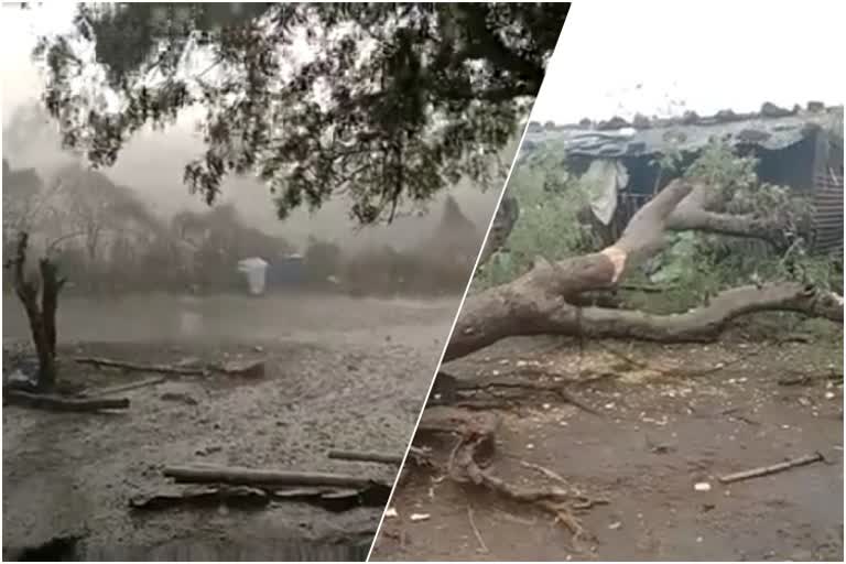 Heavy rain with Strong wind in bhokardan