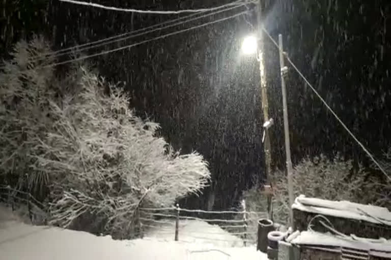 Fresh snowfall in Lahaul Spiti