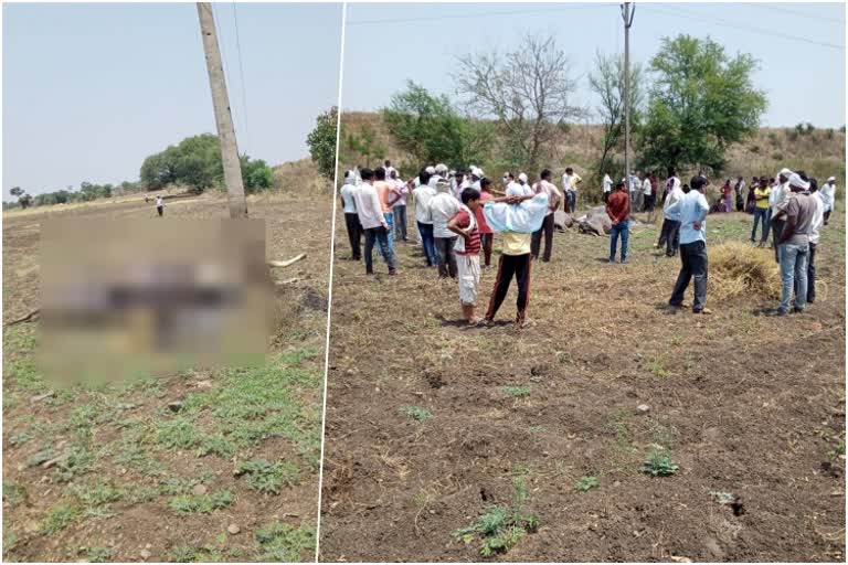 broken electrical wire one man and four cattle death