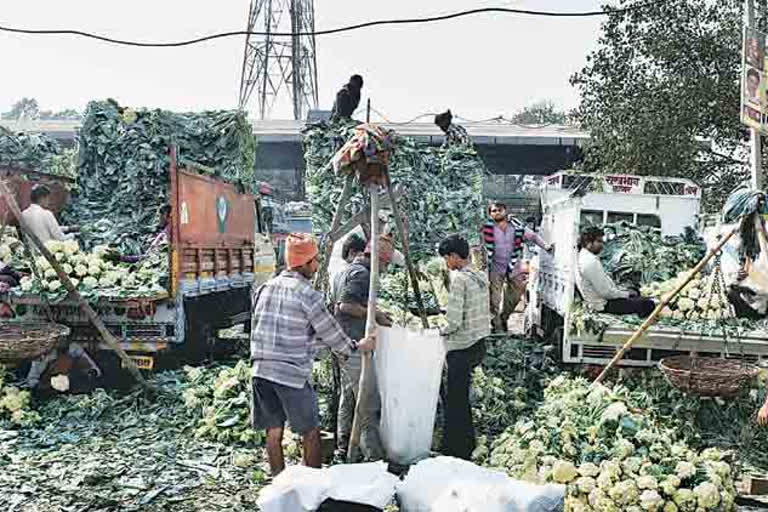 due to lockdown thousands of kilogram vegetables destructed at azadpur mandi in delhi