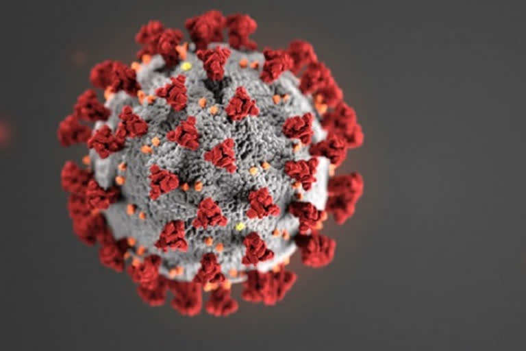 coronavirus