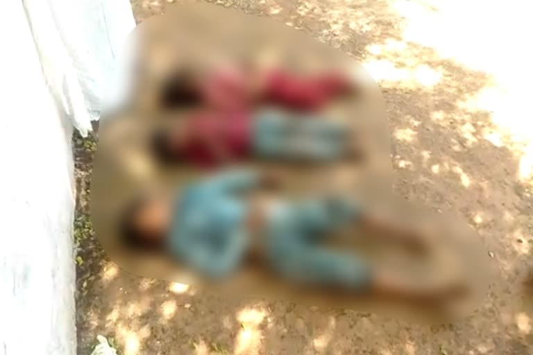 Three children of the same family died in a road accident