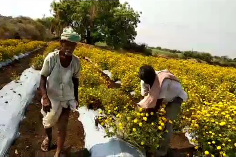 Farmers worried about not being sold Crops