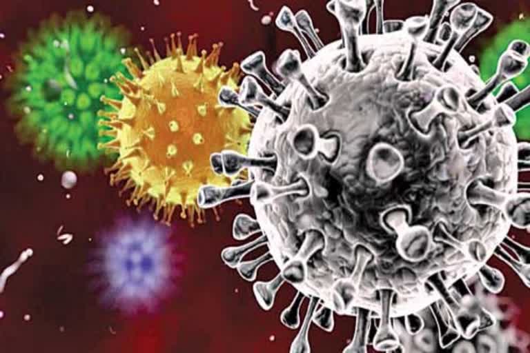 coronavirus world wide death toll passed 47 thousand