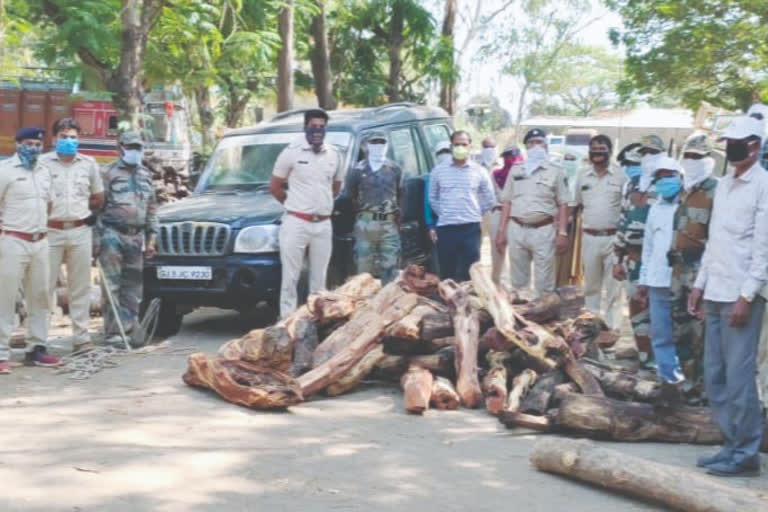 forest department seized wood in navapaur taluka