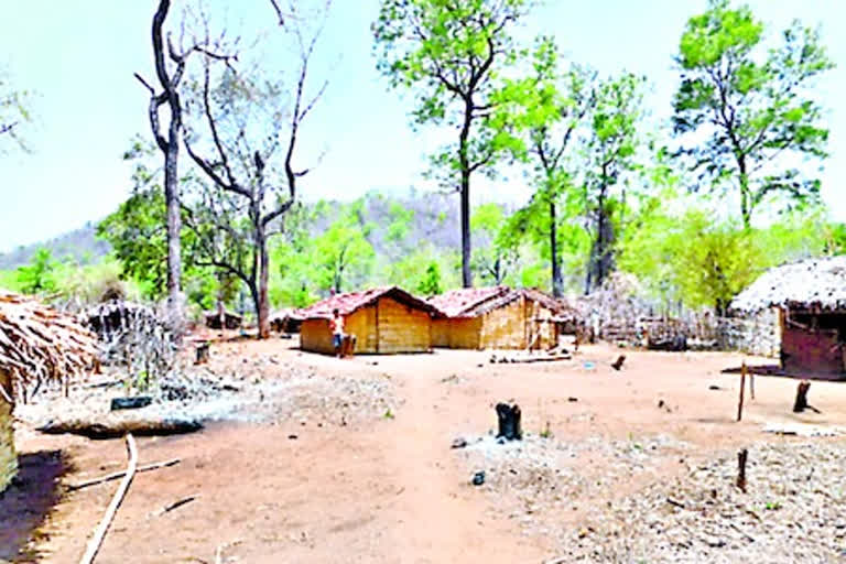 tribal villages in west godavari district following corona rules