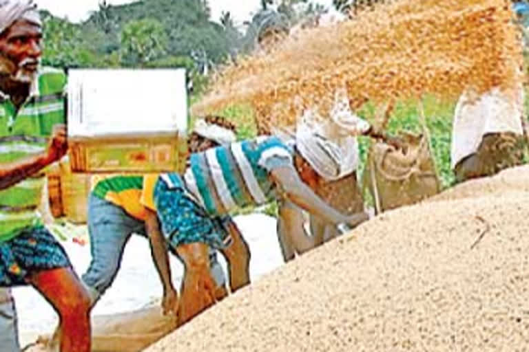 paddy purchase centres in krishna district