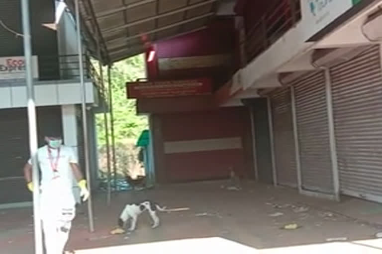 fire-rescue  provide food  street dogs  ഉദ്യോഗസ്ഥർ സ്വന്തം പോക്കറ്റ്  ഭക്ഷണം നൽകി