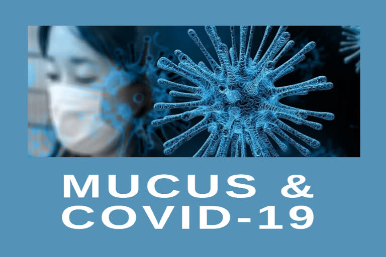 Scientists studying role of mucus in spreading coronavirus