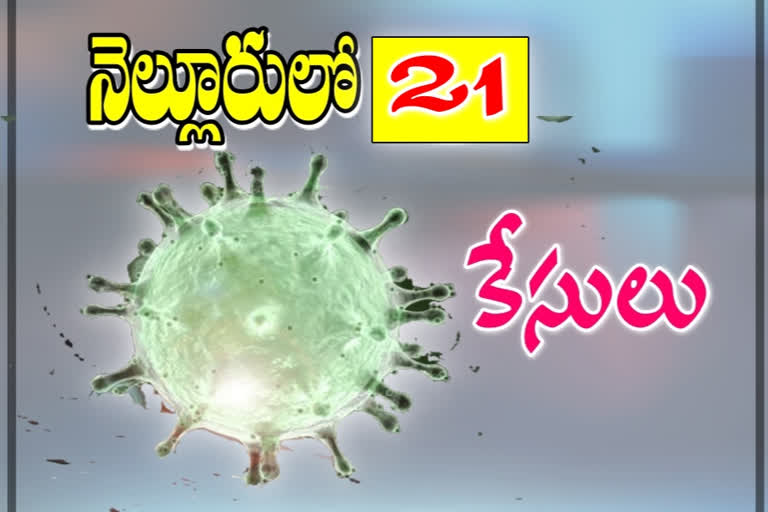 18 positive cases in one day at Nellore