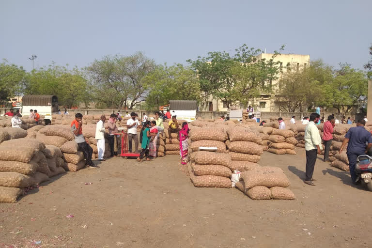 बाजारात 500 ट्रक कांद्यांची आवक; 800 ते हजार रूपये प्रतिक्विंटल भाव