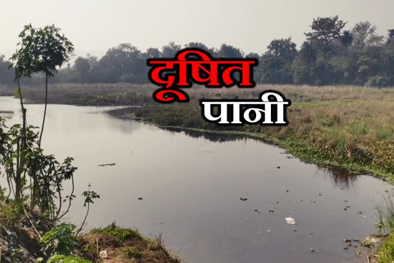 Razli dam is victim of government apathy in dhanbad