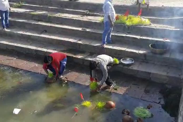 JAWAR was immersed in the pond ON RAMNAVMI