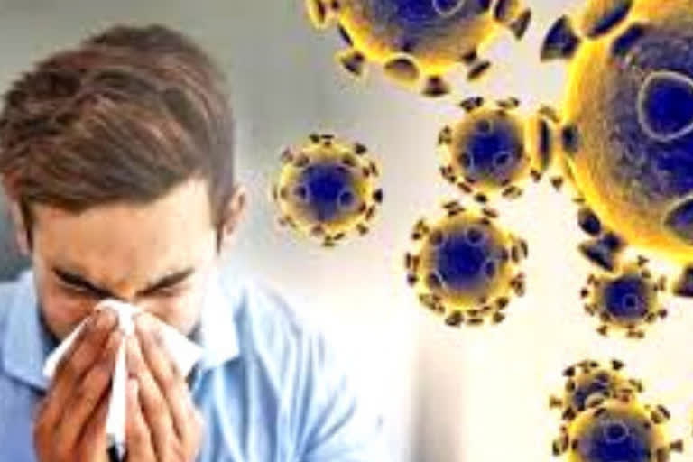 Covid-19, flu and common cold: what's the difference?