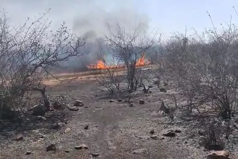 fire caught in the jungles of the village connected to the panna tiger reserve in damoh