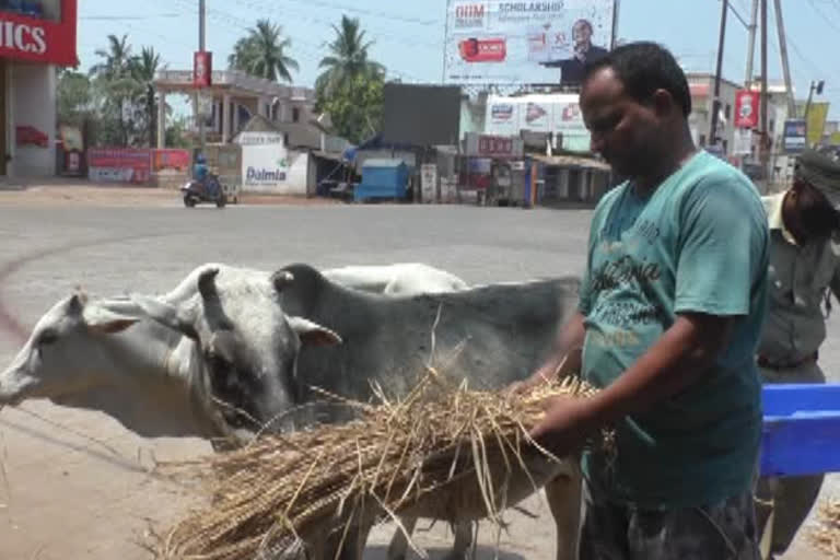 jajpur