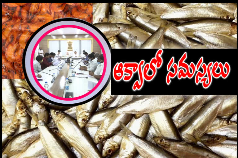 fisheries in east godavari