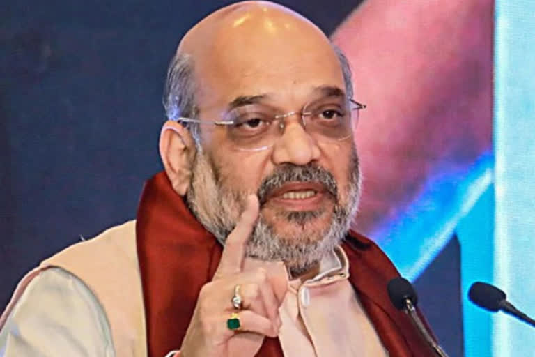 Union Home Minister Amit Shah (file image)