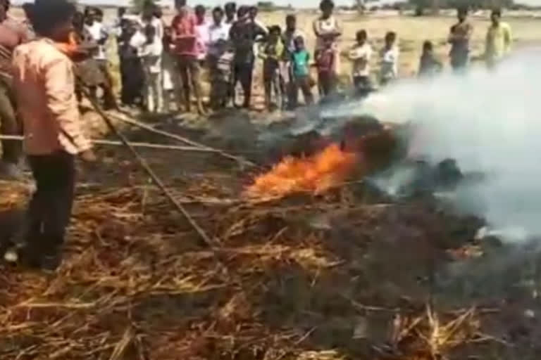 खेत में पड़ी हुई फसल में आग, Fire in wheat crop