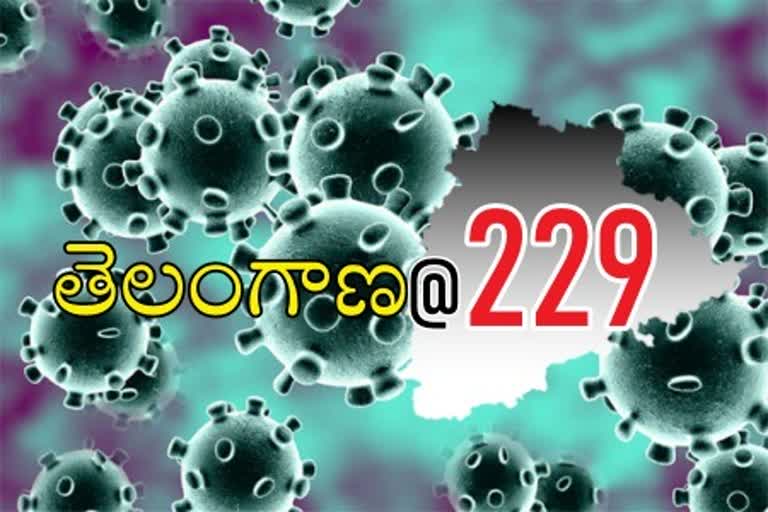 229 corona cases in telangana