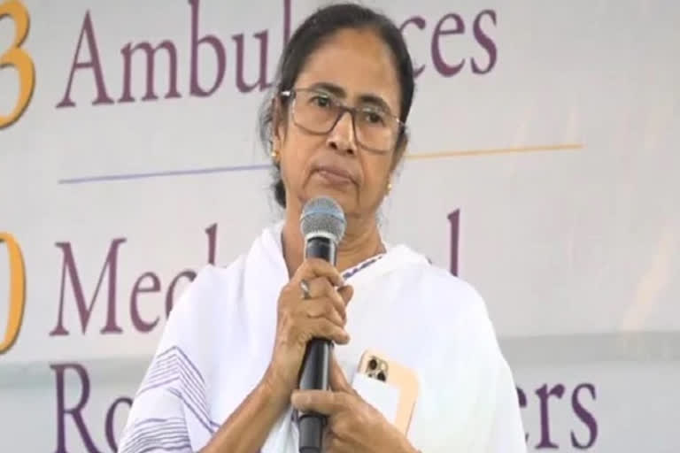 mamta