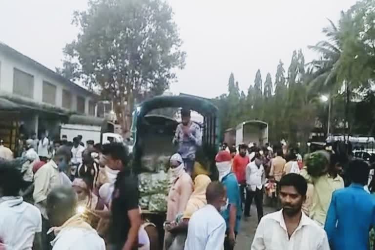 Vegetable Market