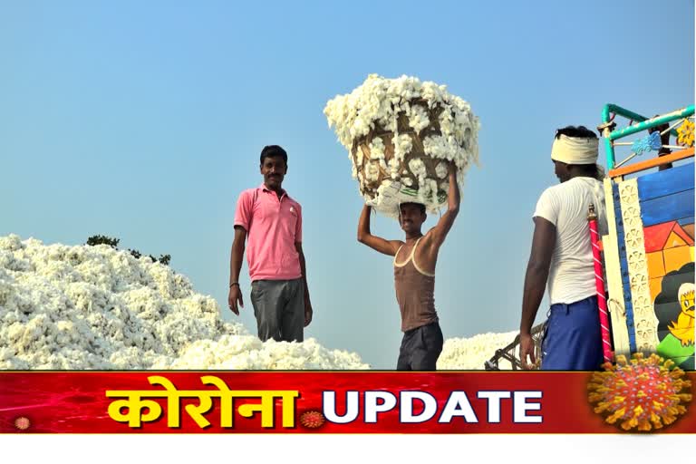 200-crore-turnover-cotton-market-stop-due-to-corona-virus