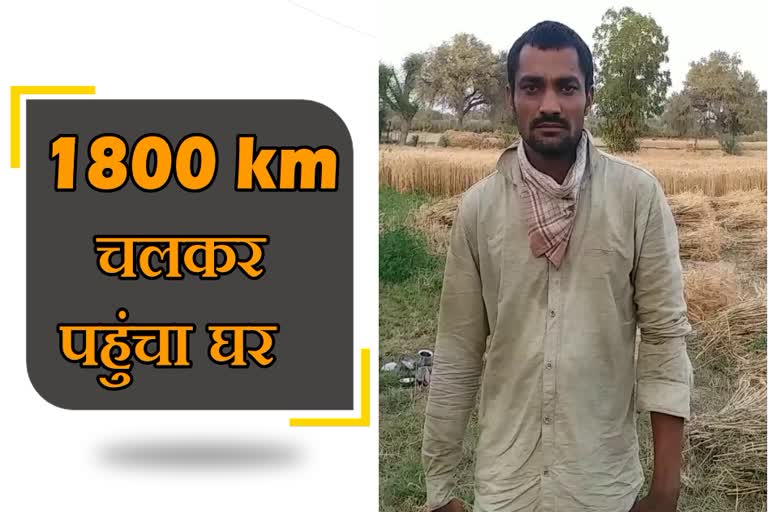 1800 किमी चलकर आए घर, राजस्थान का प्रवीण,  Bengaluru to Rajasthan  1800 km trek from Bengaluru  Rajasthan, Praveen did treking