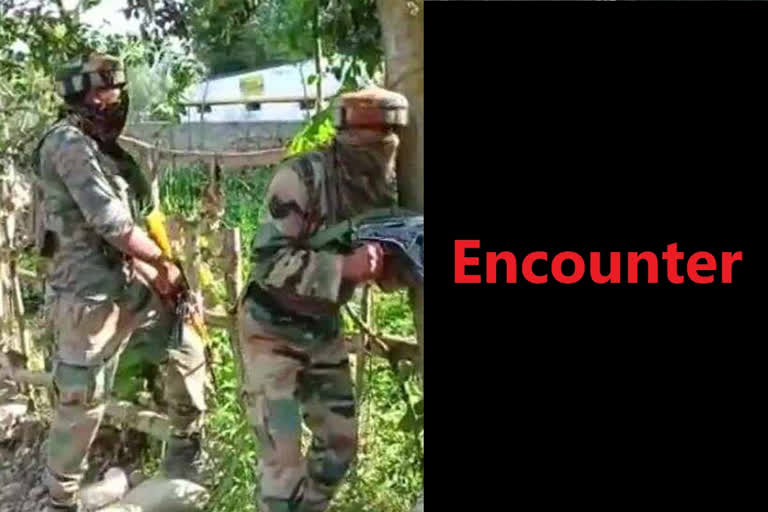 Jammu and Kashmir: Army killed nine terrorists