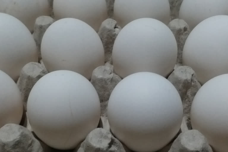 No market for egg consumption,egg merchants are facing huge loss