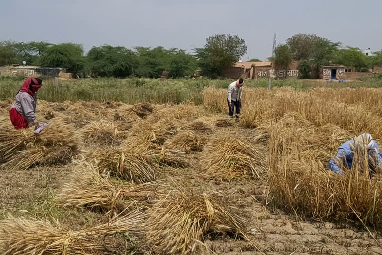 farmers are facing problem due to lockdown in palwal